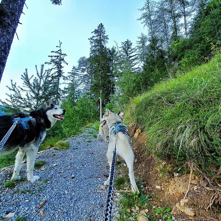 Apartment Sunnseita *