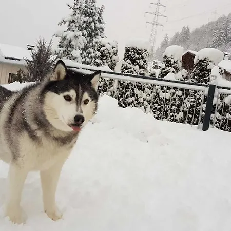 Sunnseita アパート プルツ