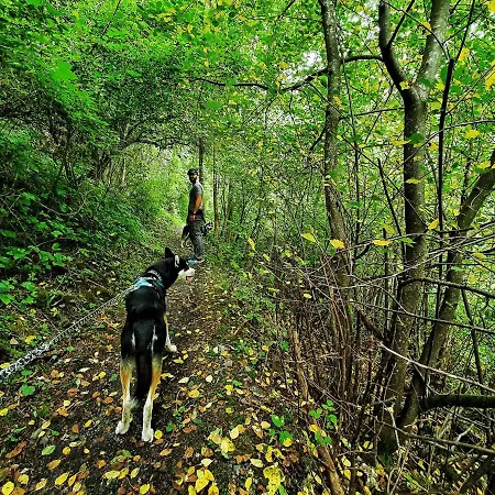 アパート Sunnseita *