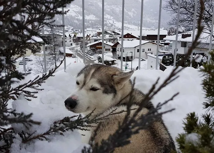 Sunnseita Apartmán Prutz