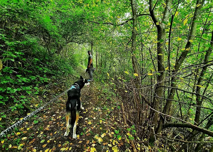 Apartmán Sunnseita *