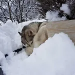 Sunnseita *