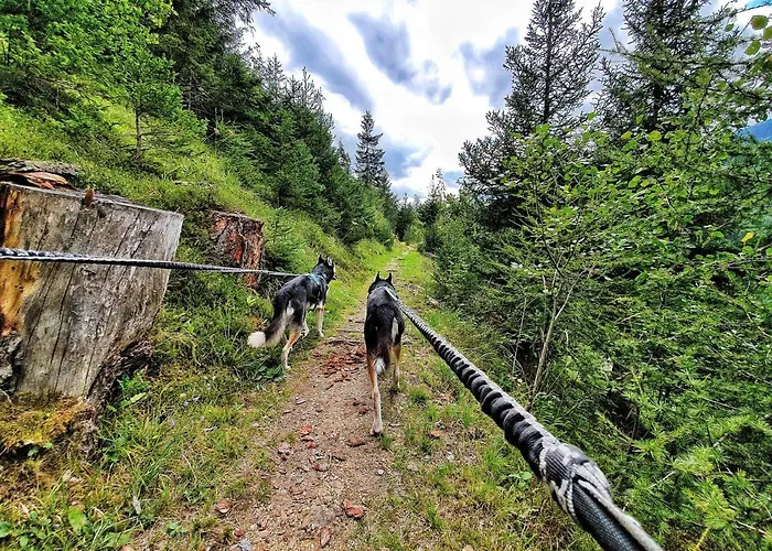 Apartamento Sunnseita *