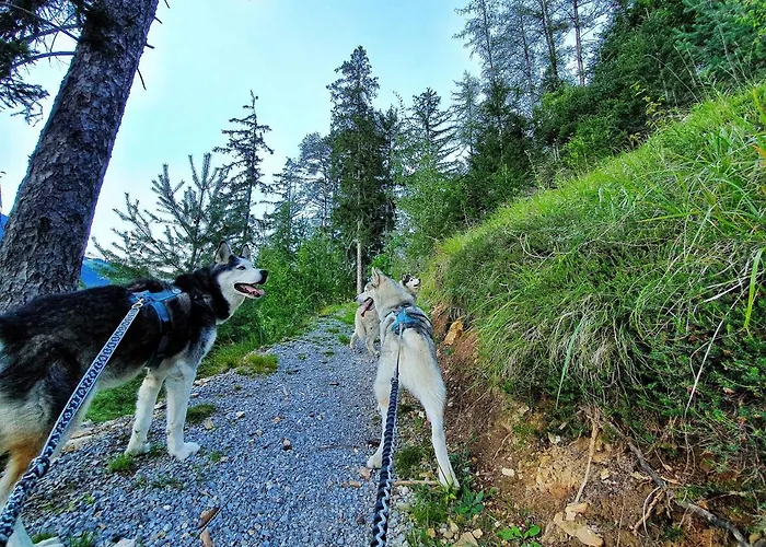 Apartamento Sunnseita *