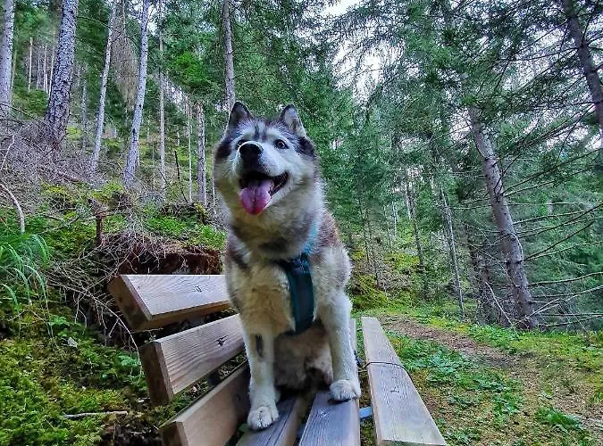 Apartamento Sunnseita